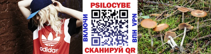 mega онион где найти Фатеж Галлюциногенные грибы прущие грибы